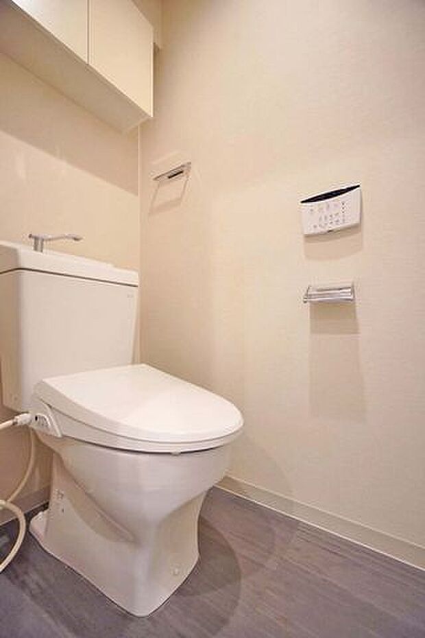 【トイレ】トイレの背面には壁付け収納がございます。お掃除用品やトイレットペーパーなどがしっかりと収納出来るサイズ。意外と収納したいものが多いのがトイレ、この収納があるのは◎ですね【2024年2月撮影】