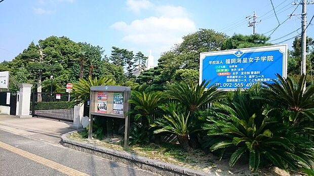 福岡海星女子学院マリア幼稚園 1100m