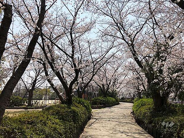 下の池公園の外観