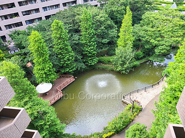 池に噴水のある、緑豊かな中庭パティオ
