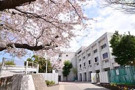 【中学校】横浜市立平戸中学校まで1228ｍ