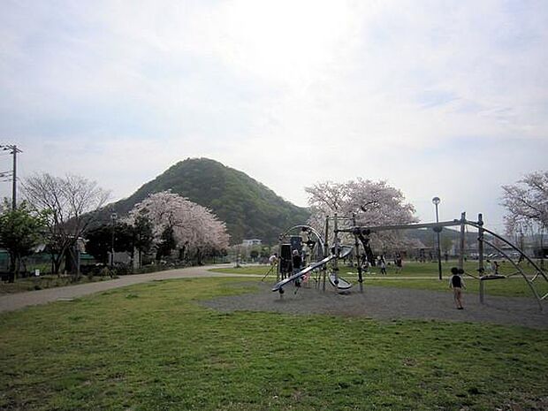 【公園】桜ヶ丘公園まで911ｍ