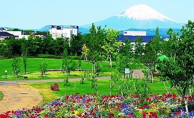 【その他】神奈川県立花と緑のふれあいセンター　花菜ガーデンまで1656ｍ
