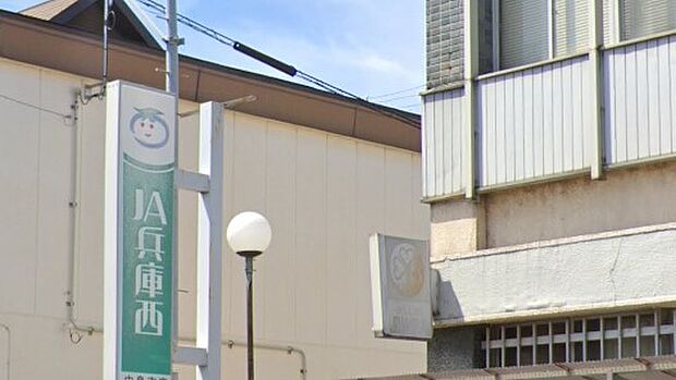 【銀行】JA兵庫西大的支店まで535ｍ