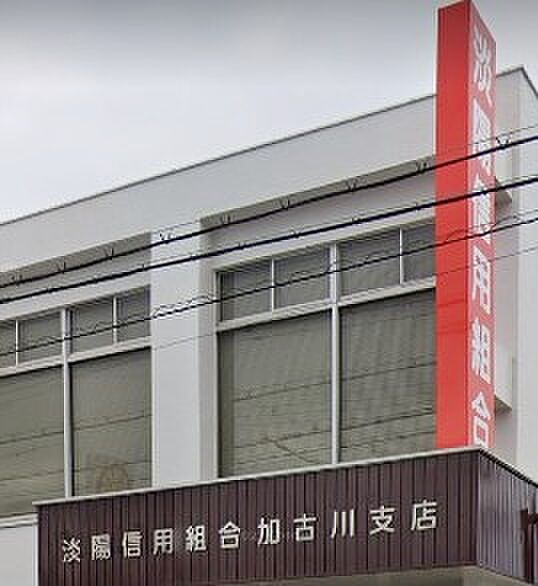 【信用金庫】淡陽信用組合　加古川支店まで345ｍ