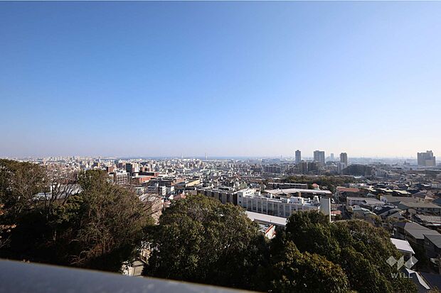 バルコニーからの眺め（南東方向）［2024年2月13日撮影］