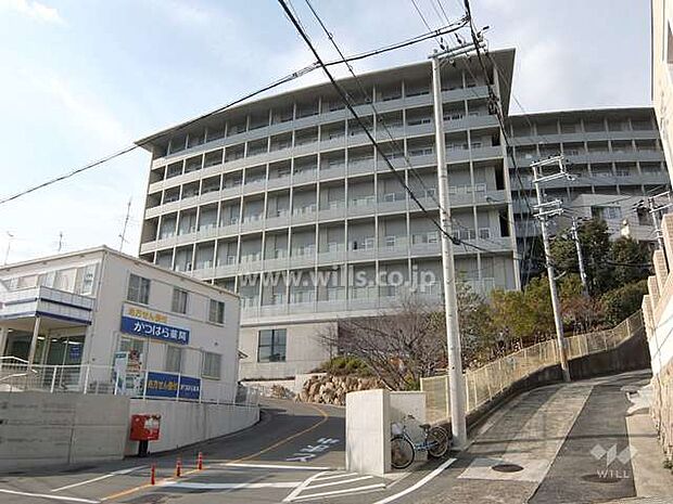 神戸海星病院の外観