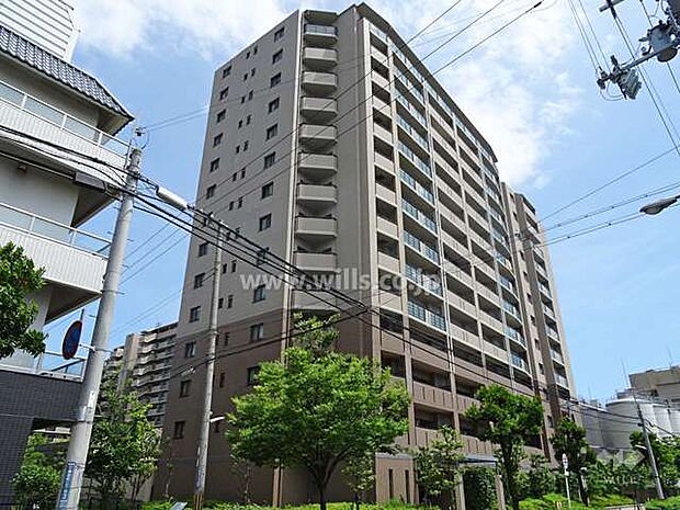             モンセーヌ住吉川公園1番館
  