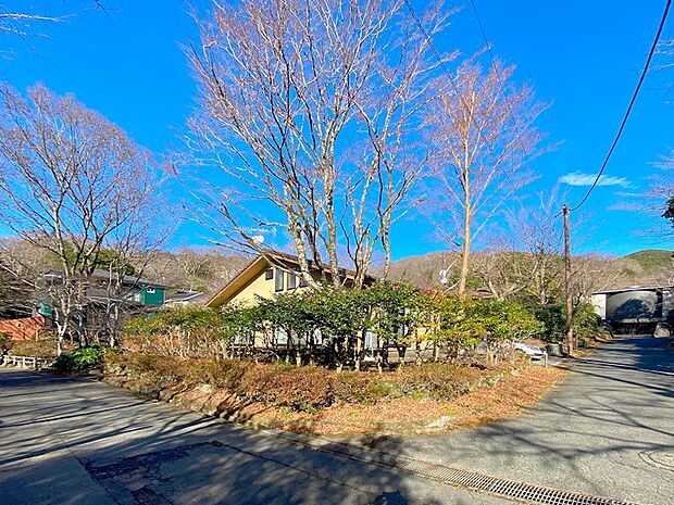 仙石原入道塚地区。別荘や保養所、低層リゾートマンションが立ち並ぶ落ち着いたエリアです。