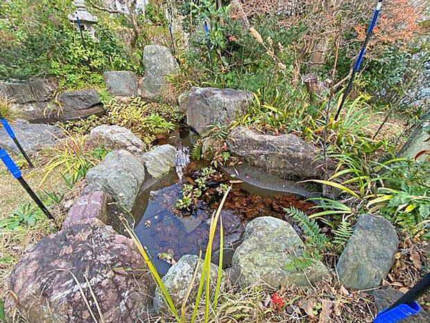 南側に広がる明るいお庭には自然石を配置した小さな池もございます。
