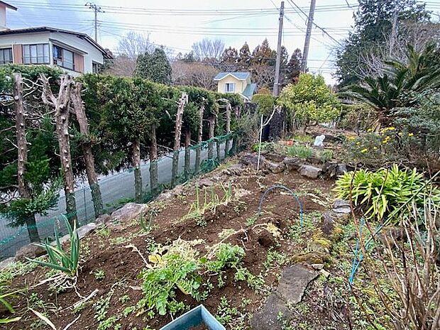 【お庭】家庭菜園を楽しむスペース