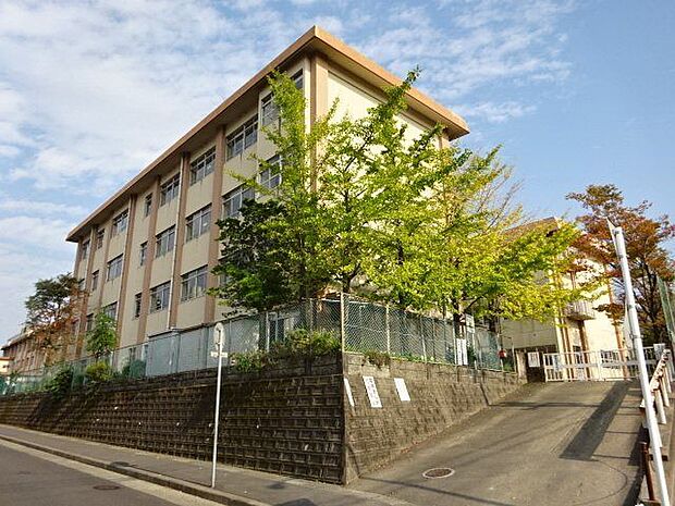 武岡小学校【鹿児島市立武岡小学校】は、武岡2丁目に位置する1976年創立の小学校です。令和3年度の生徒数は319人で、14クラスあります。校訓は「よく考える　けじめをつける　やりぬく」です。 700m