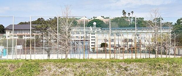 【武中学校】雄大な桜島を一望できる高台にあり，鹿児島市第六中学校として創立された伝統ある中学校です。自主・協同・永続・健康が校訓です。 1600m