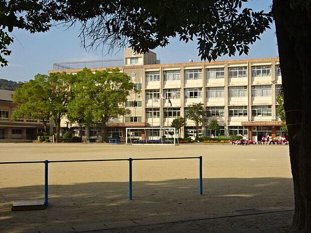 武小学校【鹿児島市立武小学校】は、武1丁目に位置する1937年創立の小学校です。令和3年度の生徒数は555人で、23クラスあります。校訓は「かしこく　うつくしく　たくましく」です。 660m
