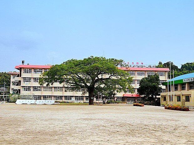 川上小学校【鹿児島市立川上小学校】は、川上町に位置する1883年創立の小学校です。令和3年度の生徒数は633人で、24クラスあります。 2100m