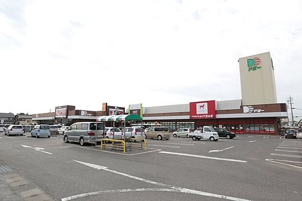 ドミー新川店 820m