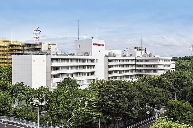横浜旭中央総合病院 徒歩10分。 800m