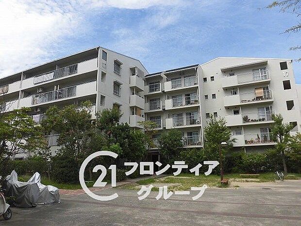             リバーサイドともぶち17号棟　中古マンション
  