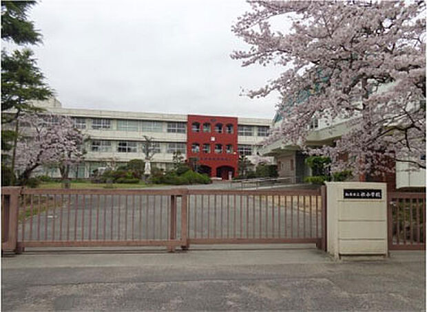 【小学校】社小学校まで1330ｍ