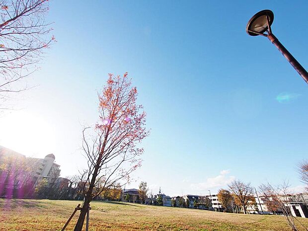 中村かしわ公園まで約550m