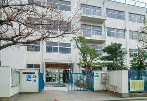 大田区立高畑小学校（501m）