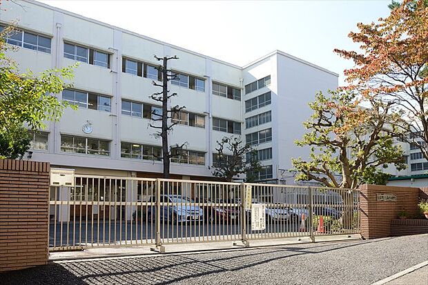 【中学校】横浜市立青葉台中学校まで220ｍ