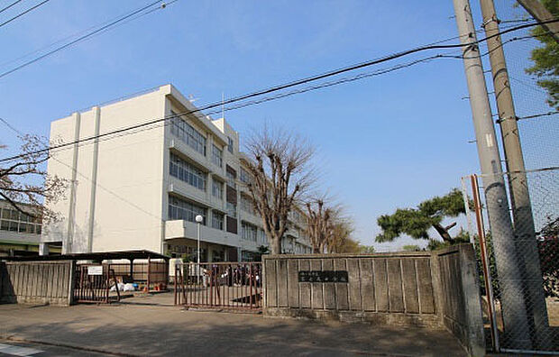 富士見中学校（800ｍ）