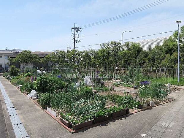 菜園。1住戸1区画使用できる菜園スペースがあります！