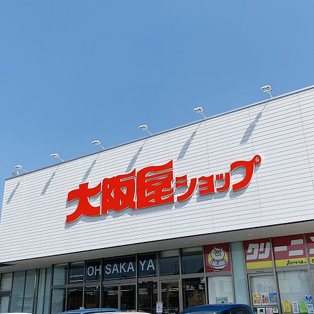 【スーパー】大阪屋ショップエール店まで1477ｍ