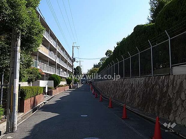 敷地南側の前面道路。道を挟んで関西大学のキャンパスが広がっています。