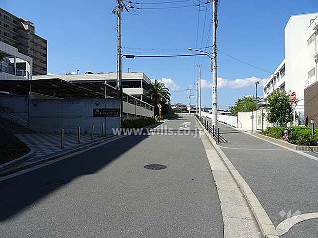 敷地北東側の前面道路。右手に南山田小学校があります。