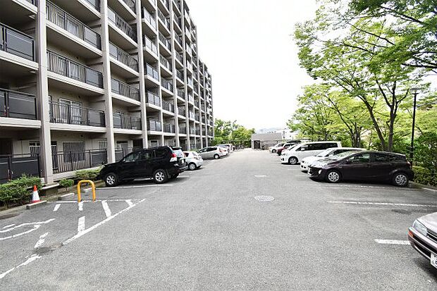敷地内には平面駐車場がございます。屋根等もございませんのでハイルーフ車も高さを気にせず駐車可能です！