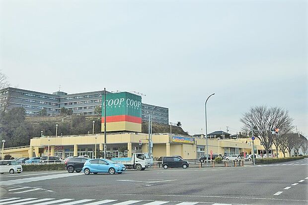 COOP　MIYAGI桜ヶ丘店　約200ｍ