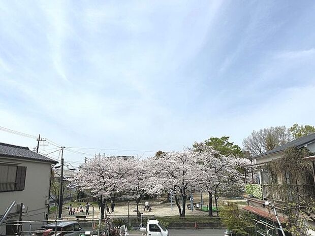 眺望良好！春には満開の桜が目の前に広がります。季節の移ろいと共に明るい陽光と爽やかな風を感じられます。 