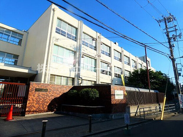 【中学校】大阪市立大桐中学校まで291ｍ