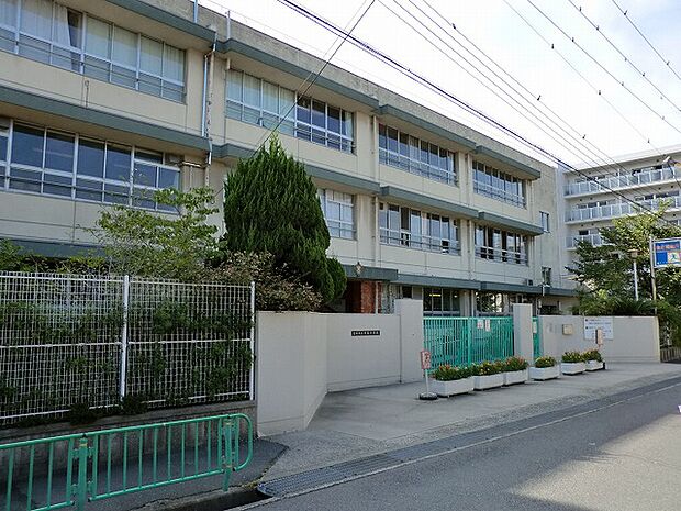 茨木市立中条小学校（731m）