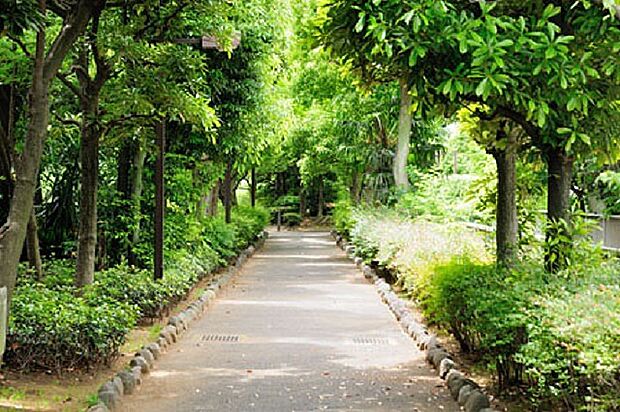 東京メトロ東西線「木場駅」と「東陽町駅」の間に東西に長く整備されている公園です。遊歩道が続くので、ジョギングやウォーキングにも最適な公園で、親子でお散歩をするのもおすすめです。