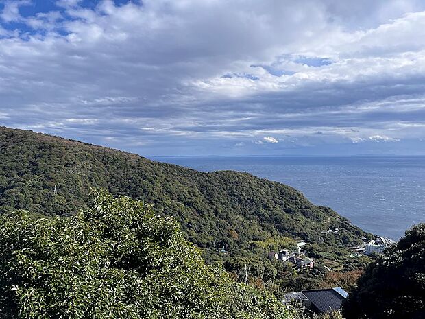 こちらのバルコニーからの景色。