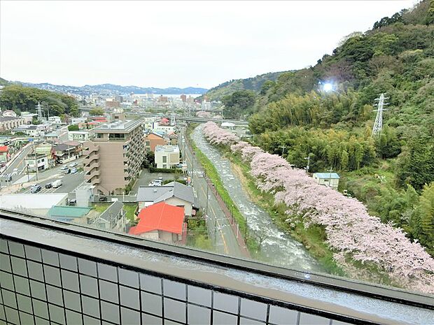 【高層階からの眺望】春には相模湾側、千歳川沿いに桜並木を望めます。