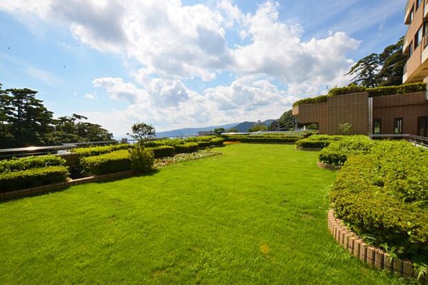 【B棟・屋上庭園】手入れさてた緑は、爽やかな碧い空に良く映えます。