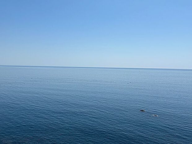 水変遷と碧い海、青い空。この眺望こそがリゾートの醍醐味です！
