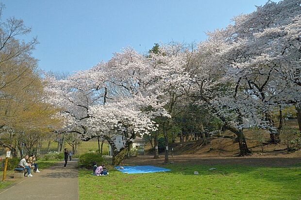 東京都立 戸山公園は徒歩15分。箱根山地区と、遊具や芝生広場のある大久保地区から成る新宿の公園。