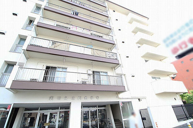 調布たま川台住宅(2DK) 5階のその他画像