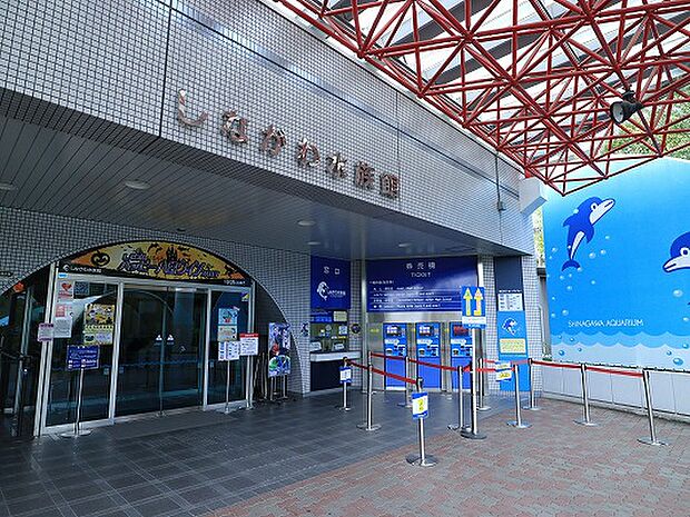 しながわ水族館　約550m