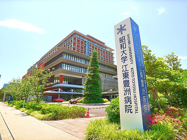 昭和大学江東豊洲病院　約650m