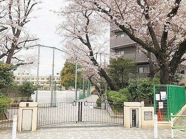 板橋区立赤塚第一中学校 徒歩3分。 210m