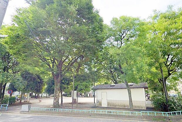 練馬区立上石神井公園 徒歩3分。 290m