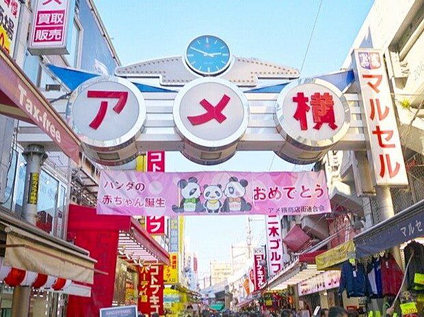 上野アメ横商店街 徒歩19分。 1500m