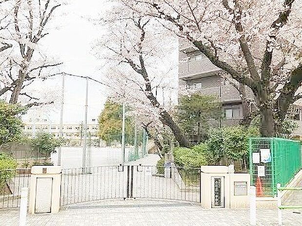 板橋区立赤塚第一中学校 徒歩5分。 390m