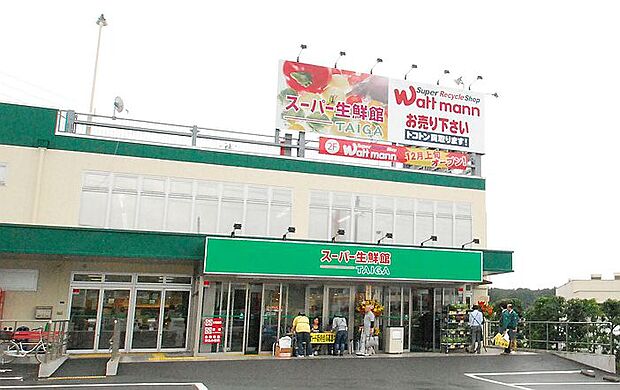 スーパー生鮮館TAIGA藤沢石川店：徒歩14分（1116ｍ）